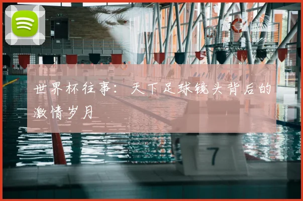 世界杯往事:天下足球镜头背后的激情岁月