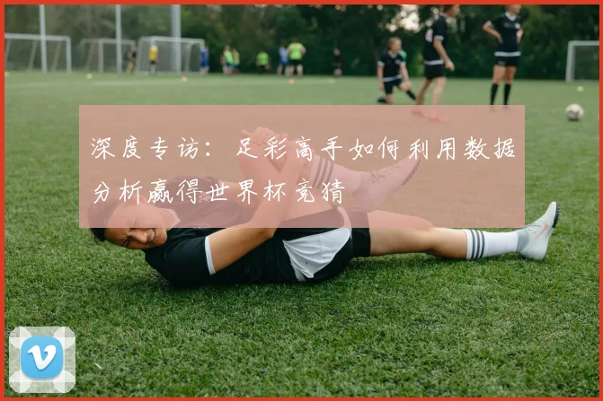 深度专访：足彩高手如何利用数据分析赢得世界杯竞猜