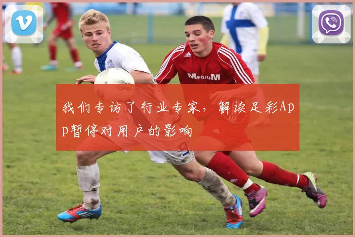 我们专访了行业专家,解读足彩App暂停对用户的影响