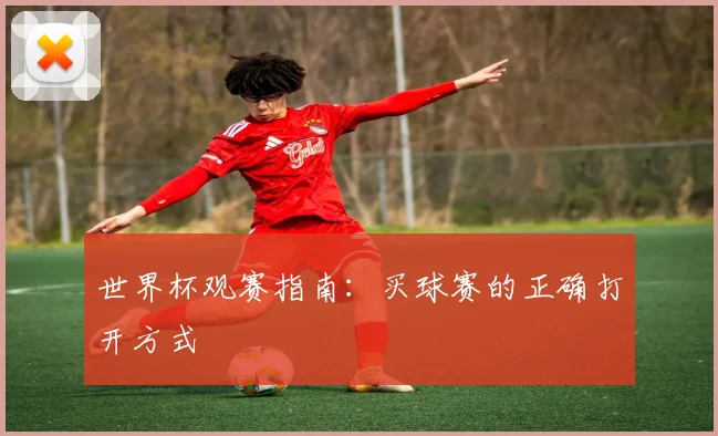 世界杯观赛指南:买球赛的正确打开方式