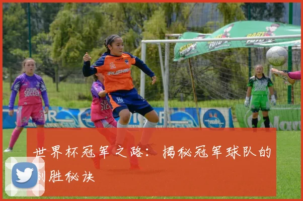 世界杯冠军之路：揭秘冠军球队的制胜秘诀